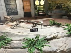 -自贡恐龙博物馆