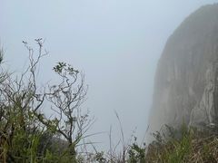 -狮子山郊野公园