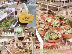 -KKV(深圳宏发大仟里店)