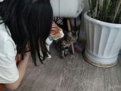 -小时光咖啡馆(北锣鼓巷店)