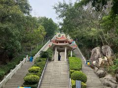 -青礁慈济宫