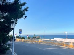 -养马岛旅游度假区