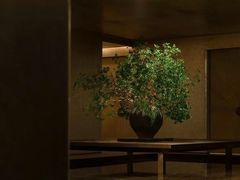 -隐溪茶馆(静安寺店)