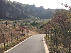 -灵岩山风景区