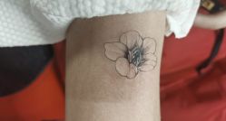 -长沙纹身·龙堂刺青·三土师傅的店