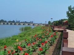 -绿堤公园