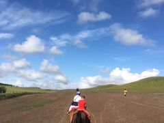 -塞罕坝国家级自然保护区