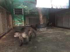 -西安秦岭野生动物园