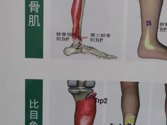 -通透堂中医·精准推拿(旗舰店)