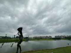 -洋湖国家湿地公园