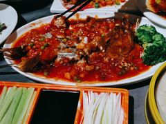 -京悦荟·京沪融合菜(漕河泾印象城店)