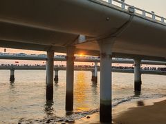 -演武大桥观景平台