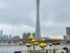 -二沙岛艺术公园