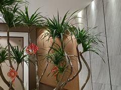 -润泽天·湘味家宴(岳麓山店)