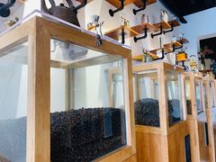 大堂-MUSEO COFFEE咖啡博物馆