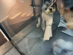 -帕帕拉兹宠物(亚洲旗舰店)