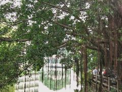 -黄埔古港