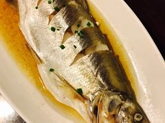 清蒸白水鱼-锦岸私房菜(西栅大街店)