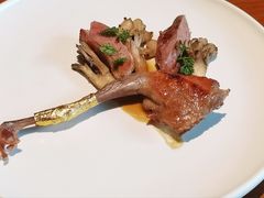 -觀芷隐轩
