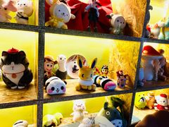 -Husky Go! 哈士奇体验馆·宠物咖啡厅狗咖