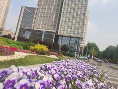 -郑州国际会展中心