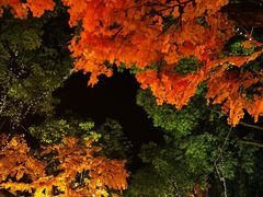 -横店影视城梦幻谷园区