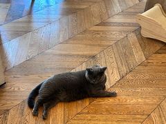 -Me Coffee下午茶艺术空间