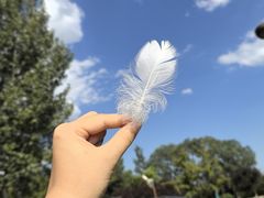 -西安浐灞国家湿地公园