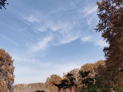 -河南省黄河迎宾馆