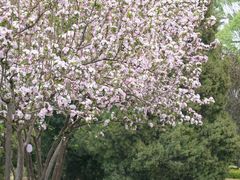 -陶然亭公园