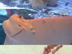 -沈阳海洋探索中心