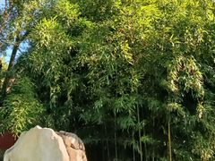 -莲池书院博物馆