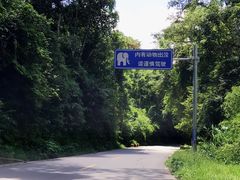-野象谷景区