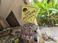 -大象粑粑造纸公园