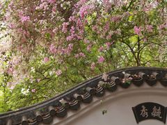 -深圳国际园林花卉博览园