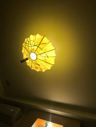 -本真坊美容美体沙龙