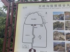 -大岭沟猕猴桃谷风景区