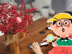 -招商银行(上海自贸试验区分行)