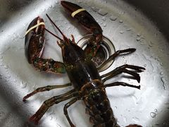 -盒马鲜生(悠方店)
