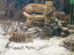 -陕西自然博物馆