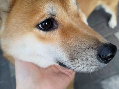 -萨莉亚意式餐厅(国和1000店)