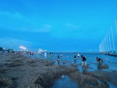 -碧海金沙