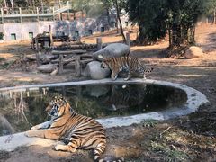 -泉州海丝野生动物世界