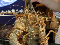 -雍容荟帝王蟹活龙虾展台自助(IFS黑金店)