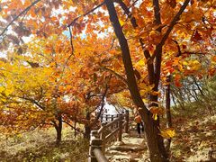 -北京十三陵国家森林公园蟒山景区