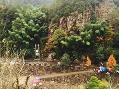 -岭上人家金屋瑶筐烤全羊(永嘉店)