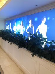 点击看大图 -昆明梦想医疗美容医院