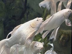 -正佳极地海洋世界