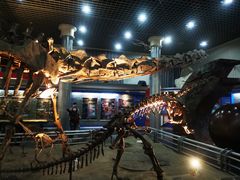 -国家自然博物馆