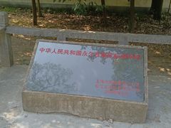 -上海佘山国家森林公园天马山园